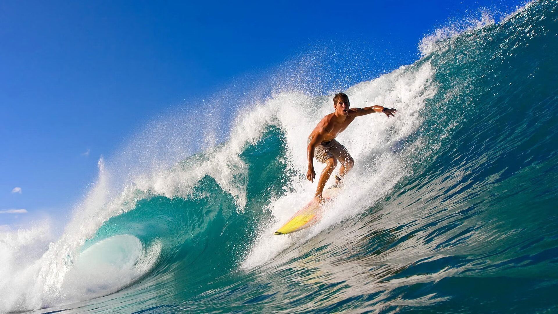 开云体育中国-霍勒迪生涯之夜点燃布鲁克林，篮网力克黄蜂的背后，是一个被低估者的正名之战