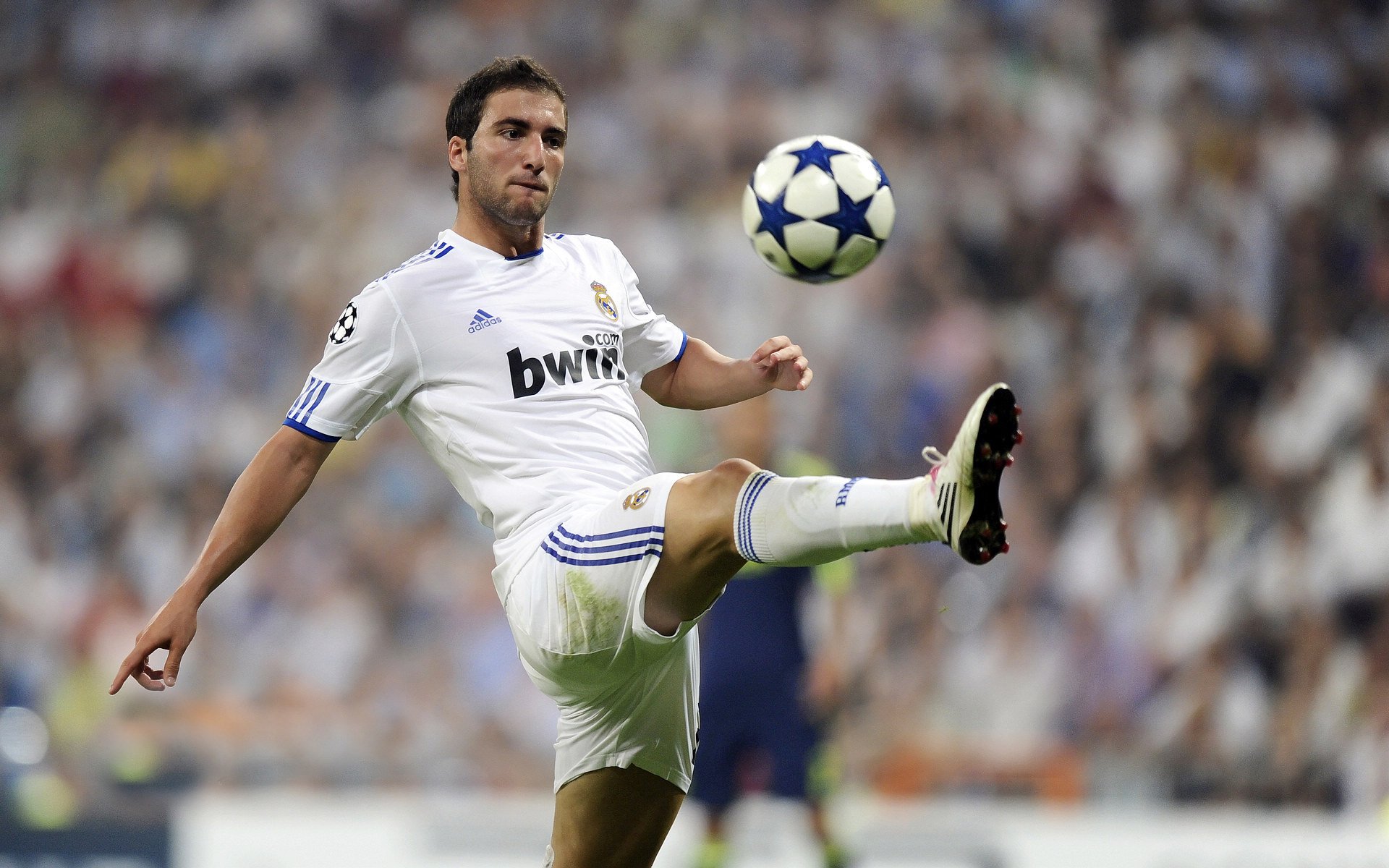 开云足球直播-北非雄鹰折翼南美高原,福登关键一击定乾坤,阿尔及利亚巅峰对决险胜厄瓜多尔